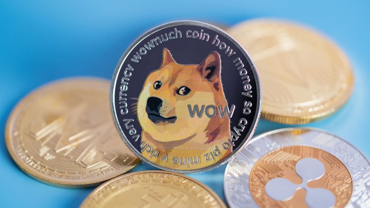 Dogecoin DOGE Coin Latest News on U Today