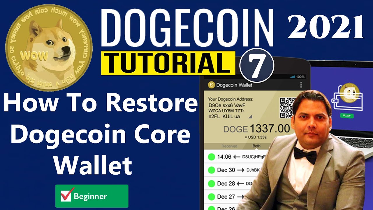 Dogecoin Wallet Recovery - Recover Your Dogecoins With Pros