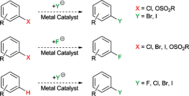 Hydrogen/Halogen Exchange of Phosphines for the Rapid Formation of Cyclopolyphosphines