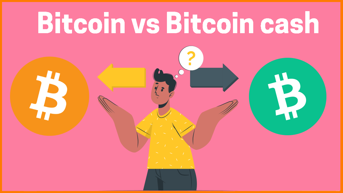 Bitcoin vs. Bitcoin Cash: Understanding the 6 Key Differences | CoinGape