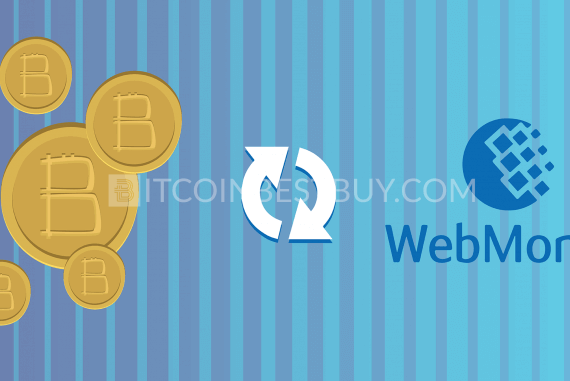 WebMoney for Crypto Deposits - See Top 32 Sites