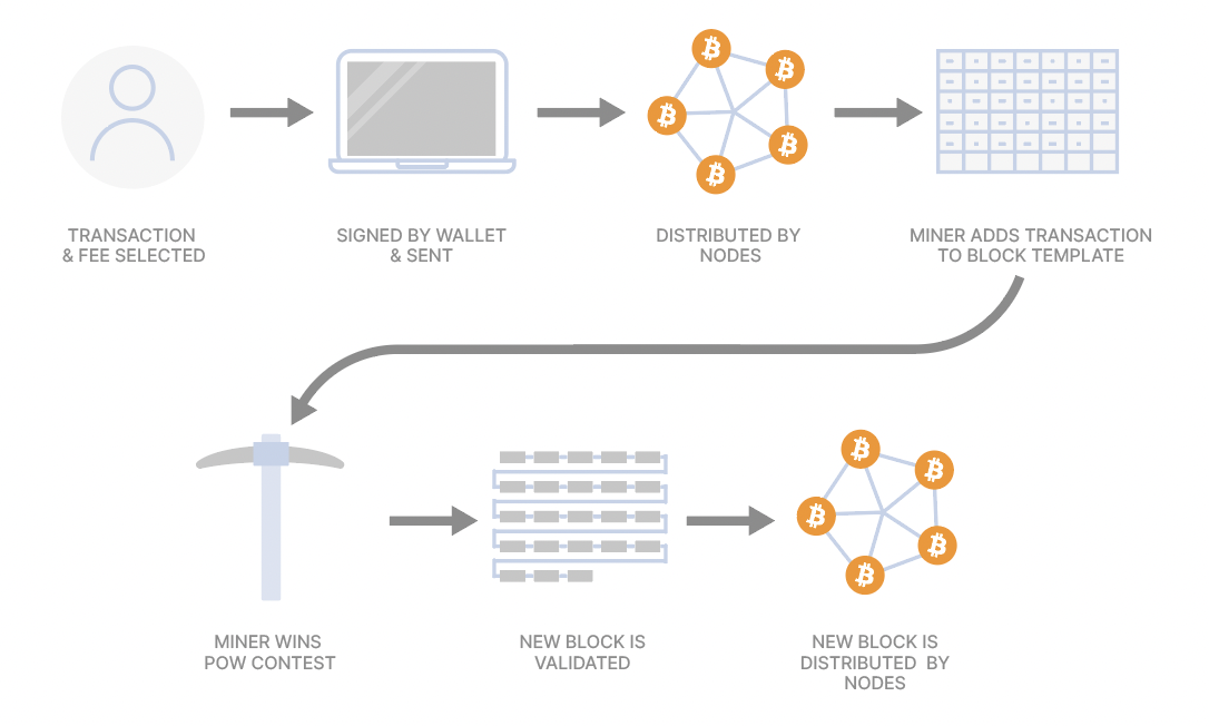 How To Run A Node | Guide To Running A Bitcoin Node