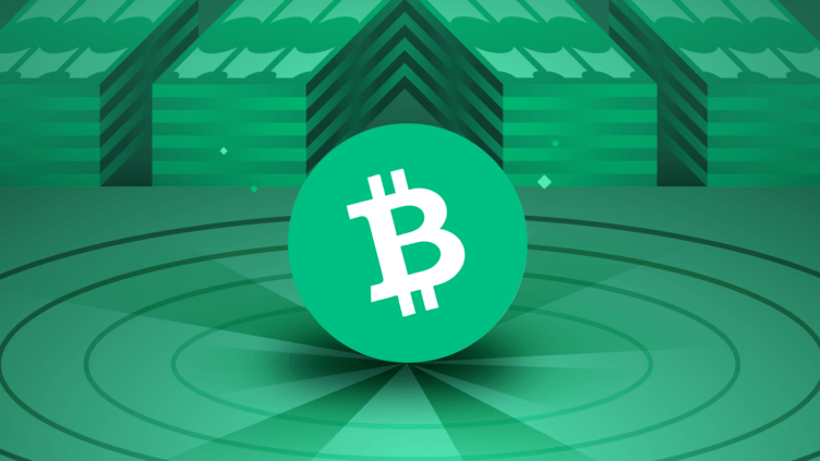 How To Run A Bitcoin Cash Node On Linux: Setup Guide