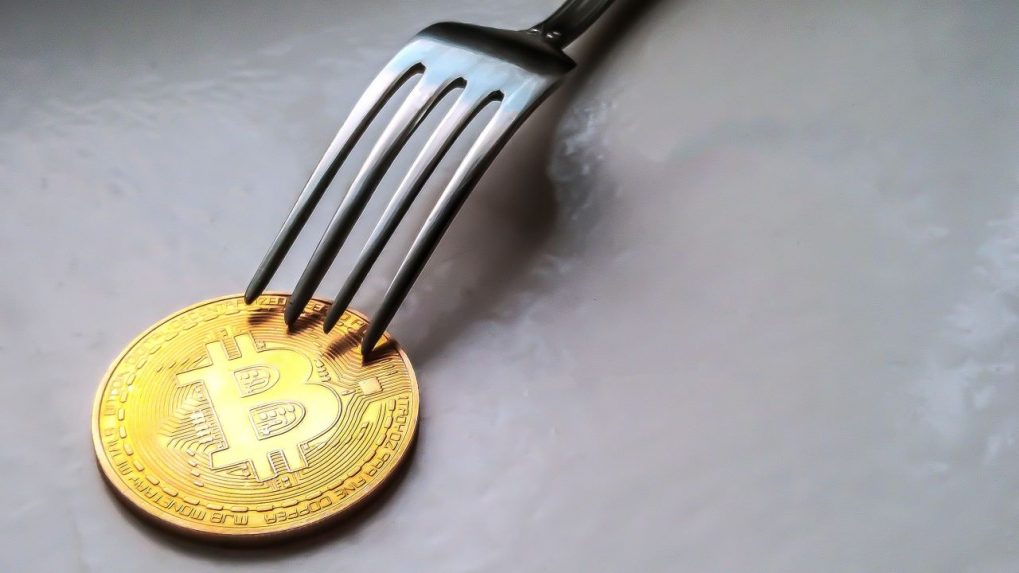 All Bitcoin Forked Coins List With Dates & Tips To Claim Them