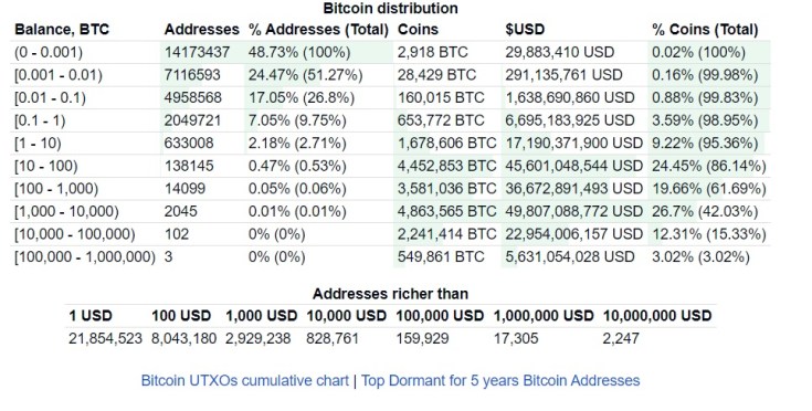 Top Richest Bitcoin Addresses and Bitcoin distribution