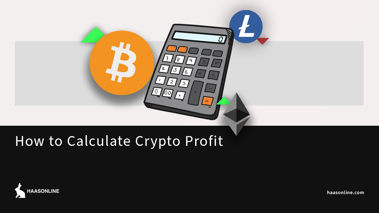 Czechia Crypto & Capital Gains Tax Calculator