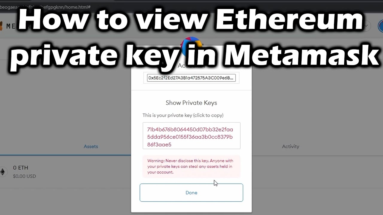 How to find the private key of blockchain wallet?