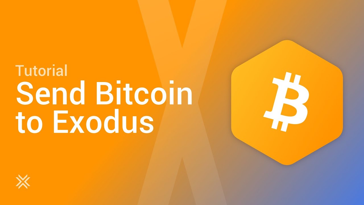 How to Transfer Crypto from Coinbase to Exodus - DC