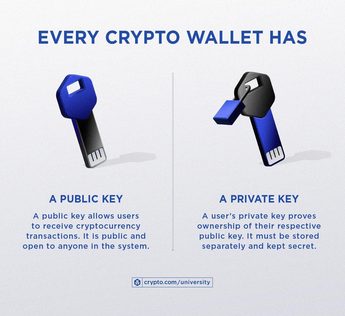 Cryptocurrency Wallet: Understanding Its Purpose, Security, and Types