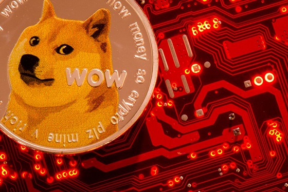 Pros and cons of Dogecoin. Why you should invest or not | BULB