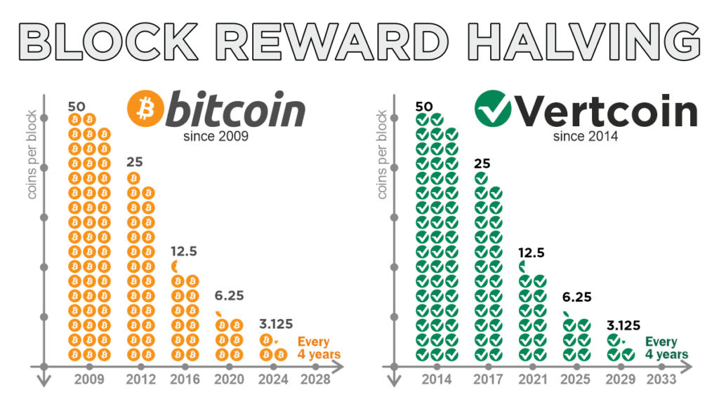 What Investors Need to Know about Bitcoin Halving Events | Scripted