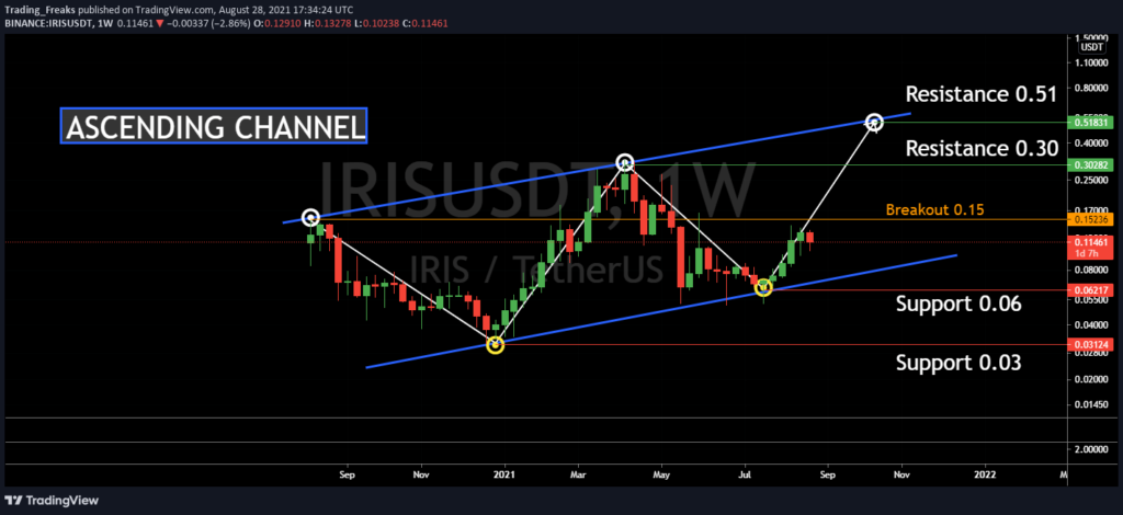 IRISnet Price Prediction | Is IRIS a Good Investment?