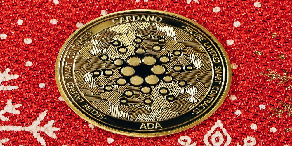 On why I don't invest in ADA and why I put my savings in ADA - General Discussions - Cardano Forum