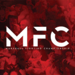 MFC Token Value Conversion | MFC Tokens to Dollars Calculator