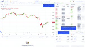 Nash Markets review and ratings