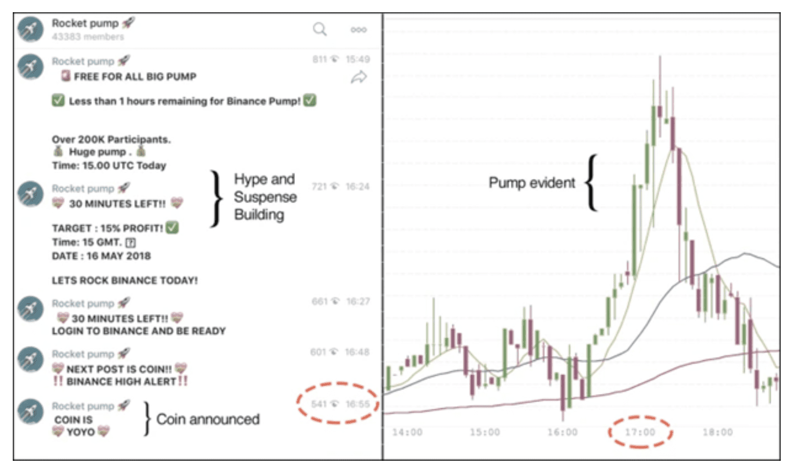 7 Altcoins to Purchase Ahead of the Next Crypto Bull Run in 