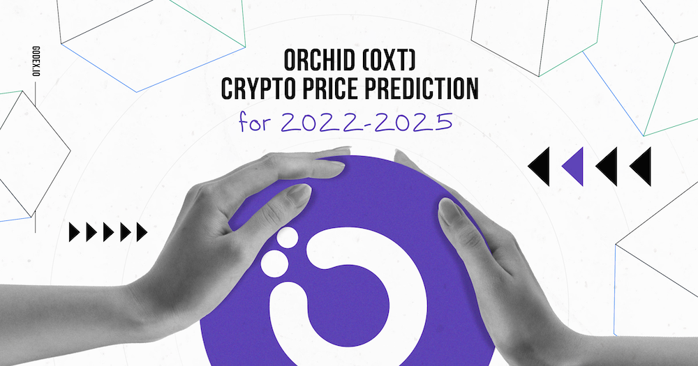 Is Orchid Crypto a Good Investment? – Orchid Oxt Price Today – Forex Education