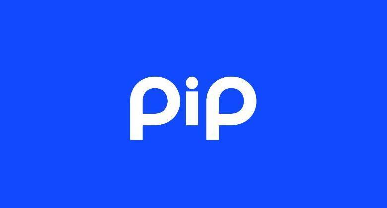 PIP price today, PIP to USD live price, marketcap and chart | CoinMarketCap