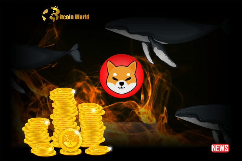 Crypto Whales on the Move with Unprecedented Shiba Inu Transfer