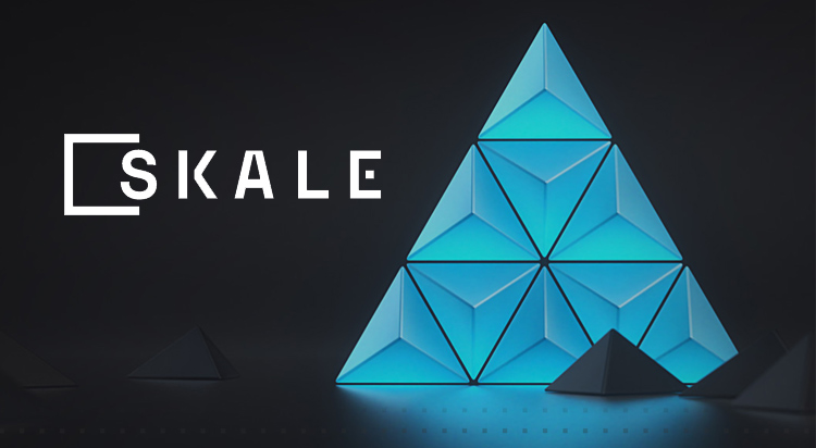 SKALE | Zero Gas Fee EVM Blockchain | AppChains Built for Web3 Gaming