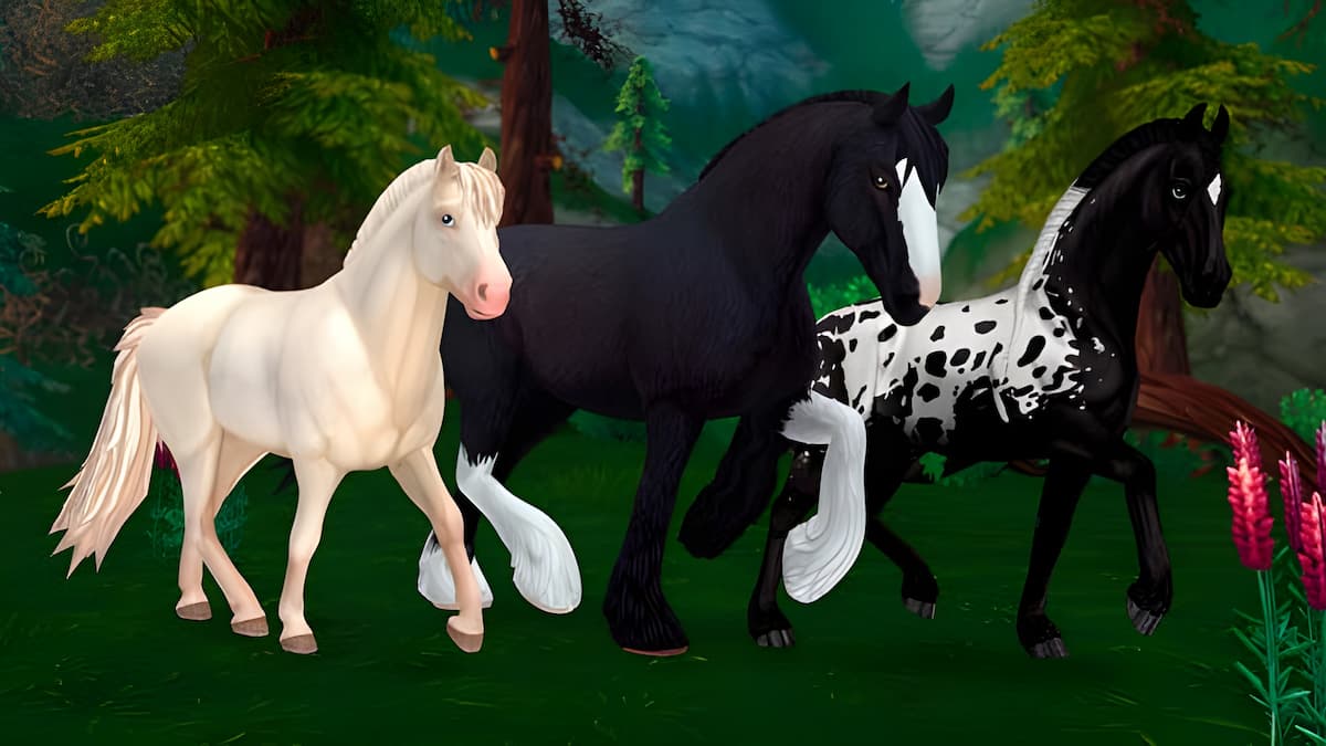 All New Star Stable Codes (March ) - Gamer Tweak