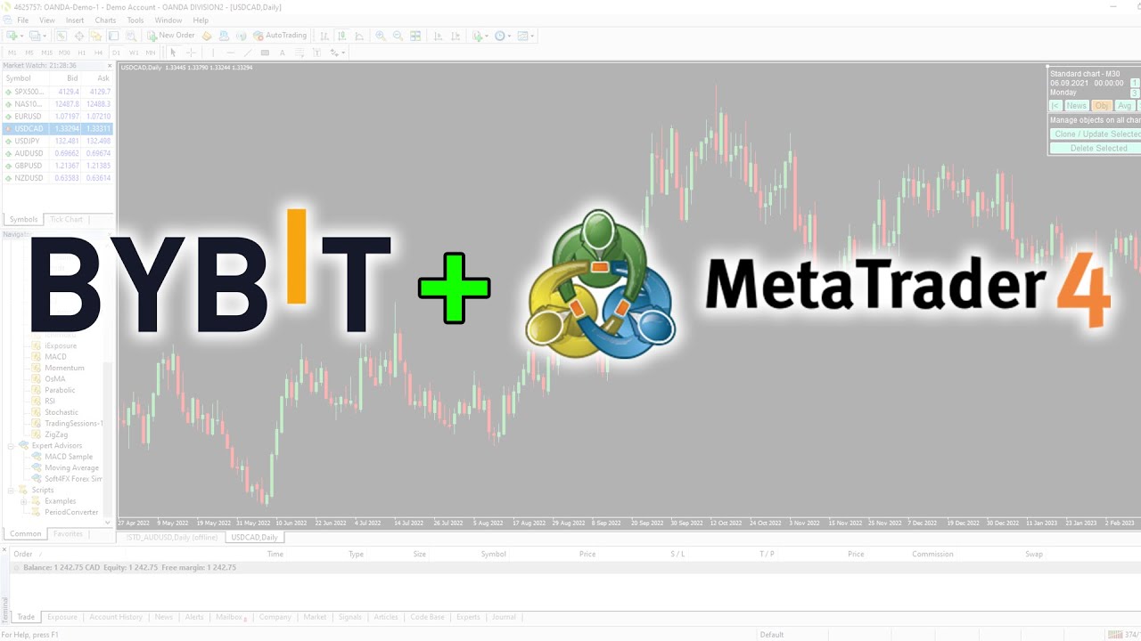 How to Add Crypto to MT4? – Video and Screenshots – Forex Education