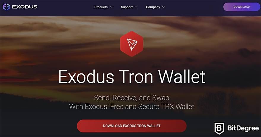 Best Tron Wallets: 8 Safe Places to Store TRX