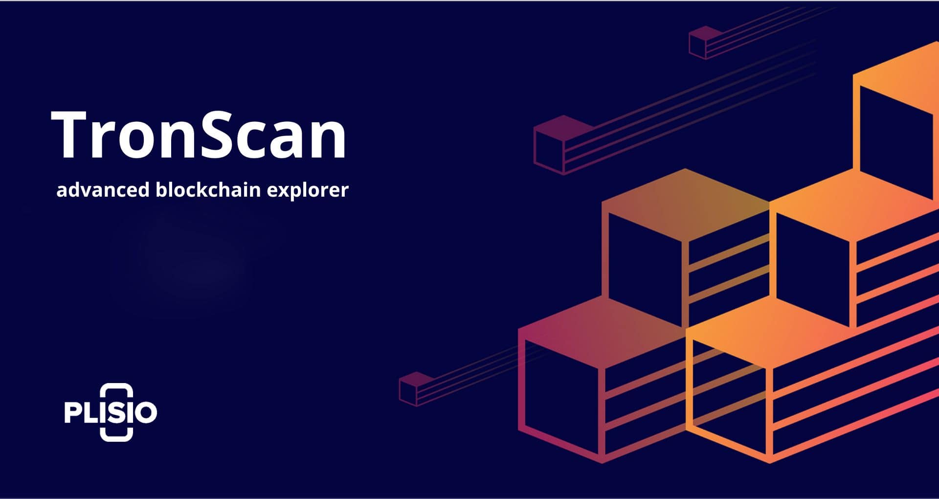 TRONSCAN | TRON BlockChain Explorer | 波场区块链浏览器