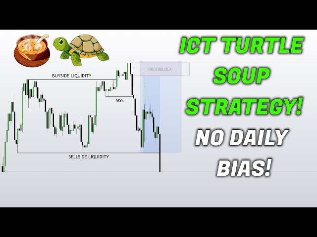 Mentorship Model + Turtle Soup - Infinity Trading