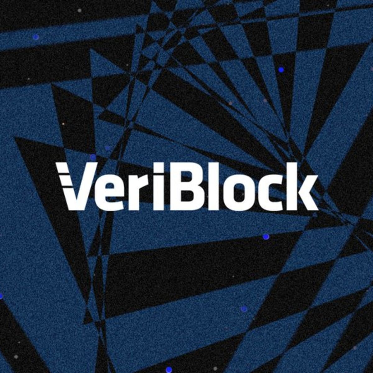 VeriBlock Price | VBK Price Today, Live Chart, USD converter, Market Capitalization | ostrov-dety.ru