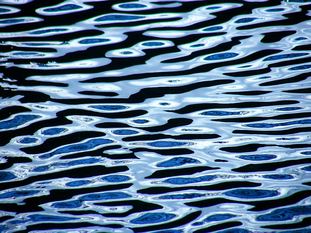 The science behind the ripples and wakes in water – The Irish Times