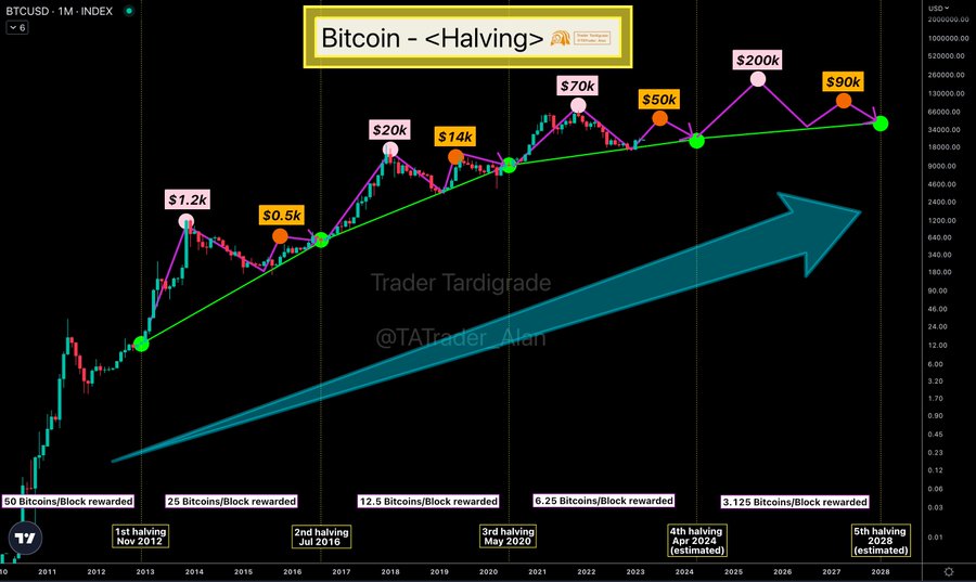 What Is Bitcoin Halving? Here's Everything You Need to Know About BTC Halving