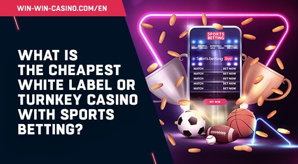 White Label Sports Betting Pricing | GammaStack