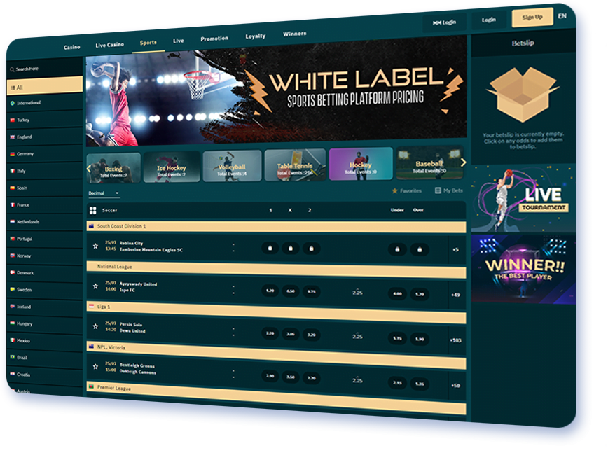 White Label Casinos: What Are They & Why Should You Care? | Betting Offers UK